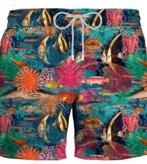 Boxer mare pesci tropicali - zeybra