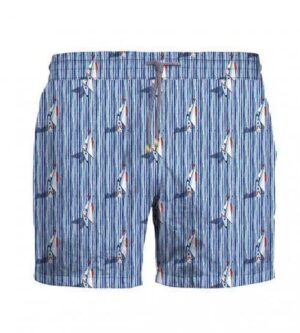 Boxer mare barche - zeybra